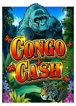 สล็อต pg88joker bonus 100เว็บ ฝาก 30 รับ 100 เล่นยังไงให้คุ้ม